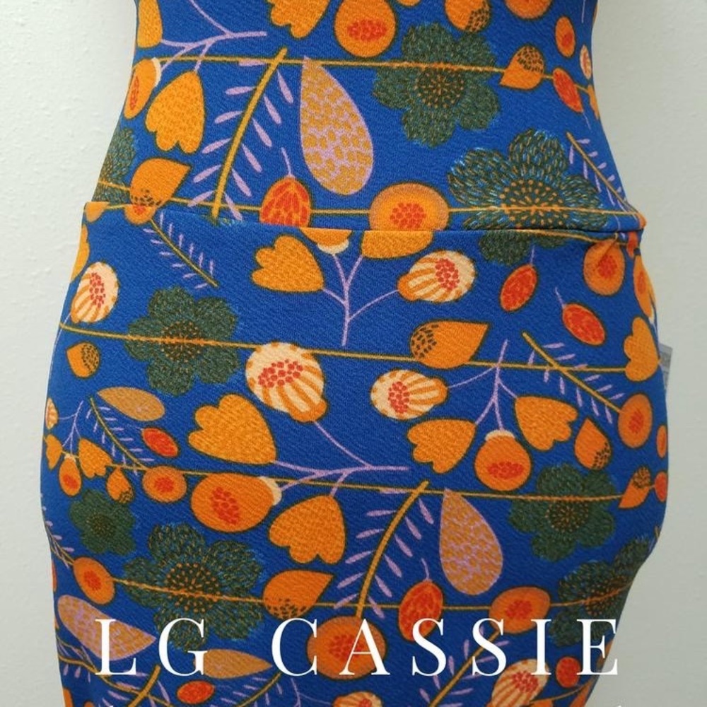Large Cassie
